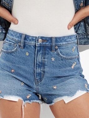 American Eagle Embroidered Denim Shorts